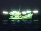 squid boat at night.JPG (175 KB)